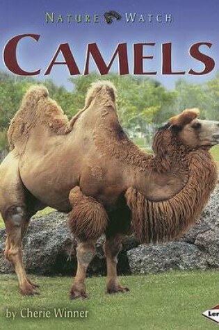 Cover of Camels