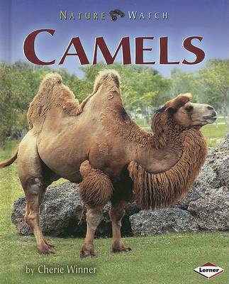 Book cover for Camels