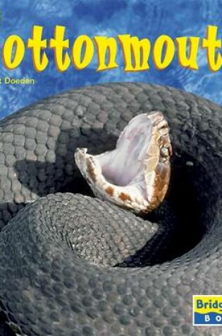 Cover of Cottonmouths