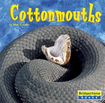 Book cover for Cottonmouths