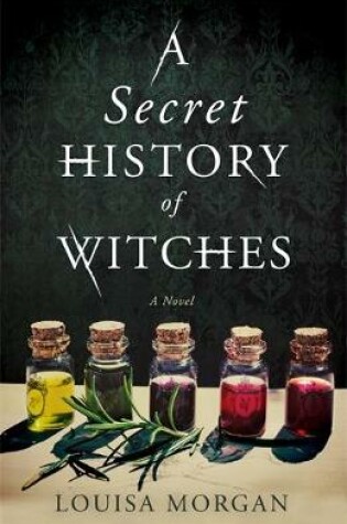 Cover of A Secret History of Witches