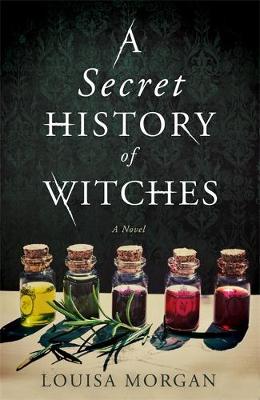 Book cover for A Secret History of Witches