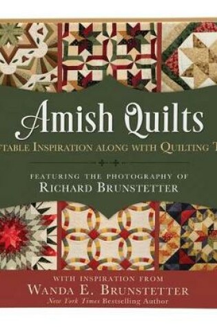 Cover of Amish Quilts