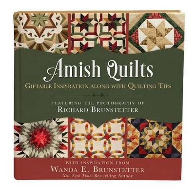 Book cover for Amish Quilts