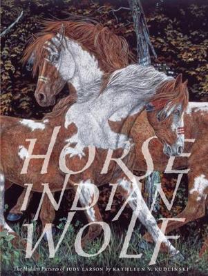 Book cover for Horse Indian Wolf