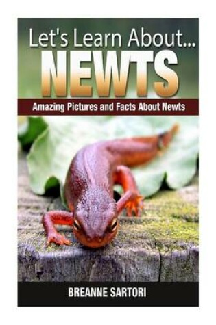 Cover of Newts