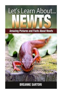 Book cover for Newts