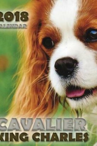 Cover of Cavalier King Charles 2018 Calendar (UK Edition)