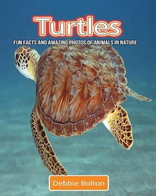 Book cover for Turtles