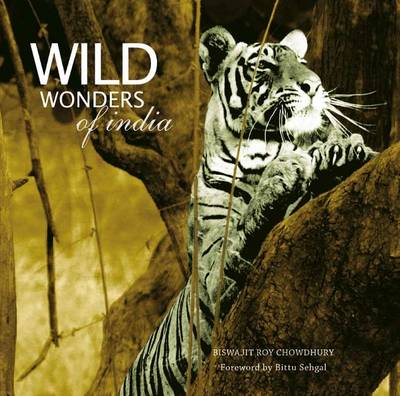 Book cover for Wild Wonders Of India