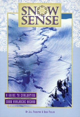 Cover of Snow Sense