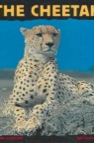 Cover of Cheetah