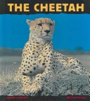 Book cover for Cheetah