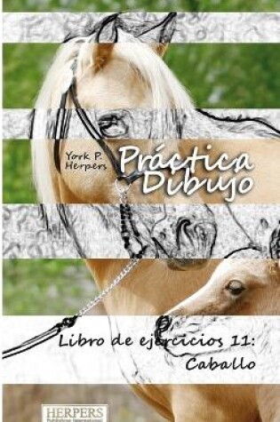 Cover of Práctica Dibujo - Libro de ejercicios 11