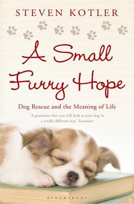 Book cover for A Small Furry Hope