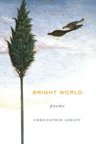 Cover of Bright World