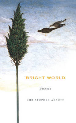 Book cover for Bright World