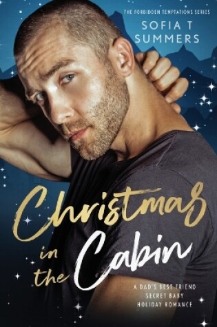 Cover of Christmas in the Cabin