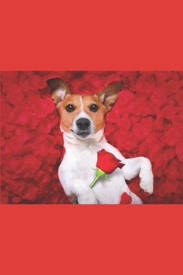 Book cover for Valentine Dog