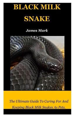 Book cover for Black Milk Snake