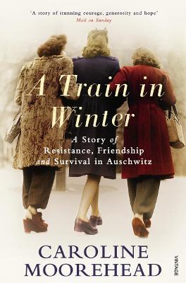 Book cover for A Train in Winter