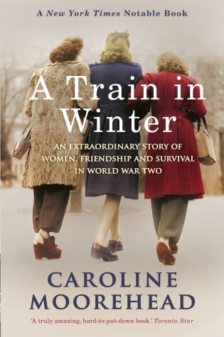 Cover of A Train in Winter