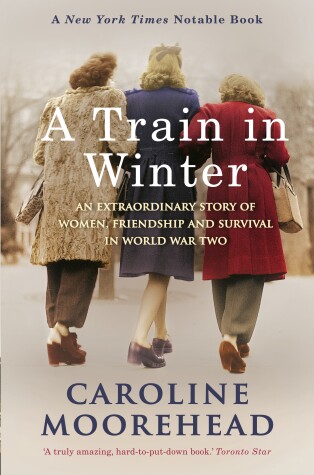 Book cover for A Train in Winter