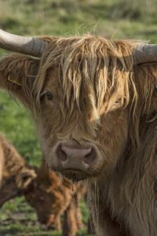 Cover of A Scottish Highland Cow Looking Back Journal