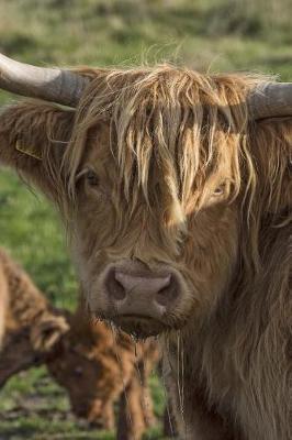 Book cover for A Scottish Highland Cow Looking Back Journal