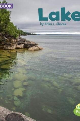 Cover of Lakes: a 4D Book (Bodies of Water)