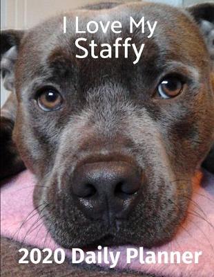 Book cover for I Love My Staffy