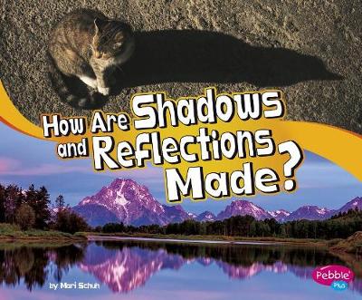 Book cover for How are Shadows and Reflections Made? (Lets Look at Light)