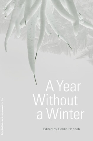 Cover of A Year Without a Winter