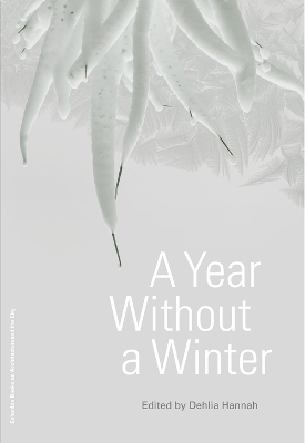 Book cover for A Year Without a Winter