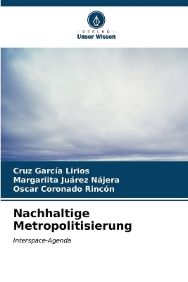 Book cover for Nachhaltige Metropolitisierung