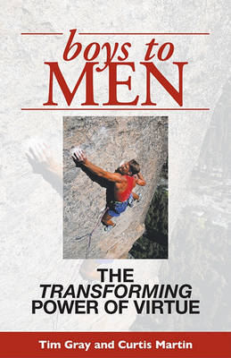 Book cover for Boys to Men