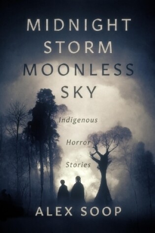 Cover of Midnight Storm Moonless Sky