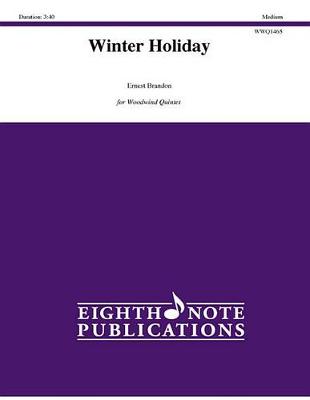 Book cover for Winter Holiday