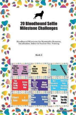 Book cover for 20 Bloodhound Selfie Milestone Challenges