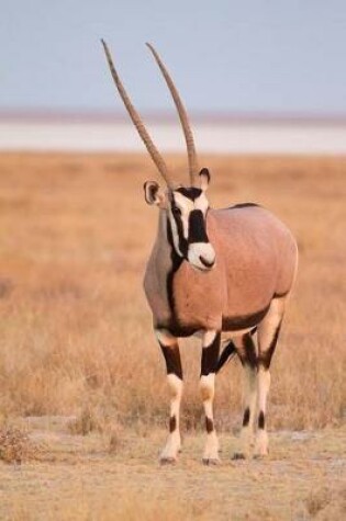 Cover of Gemsbok Antelope Journal