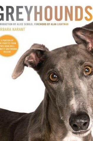 Cover of Greyhounds