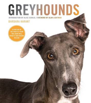 Book cover for Greyhounds