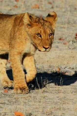 Cover of Lion Cub in Namibia, Africa Journal