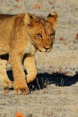 Book cover for Lion Cub in Namibia, Africa Journal