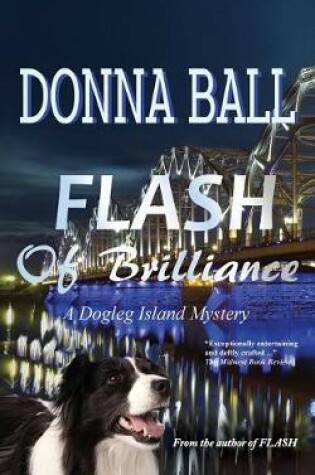 Cover of Flash of Brilliance
