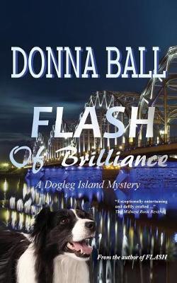 Book cover for Flash of Brilliance