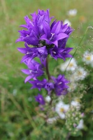 Cover of The Bellflower Journal - Pointed Flower