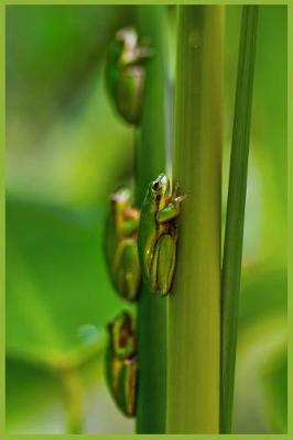 Book cover for Beautiful Frogs in Nature Notebook