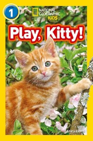 Cover of Play, Kitty!