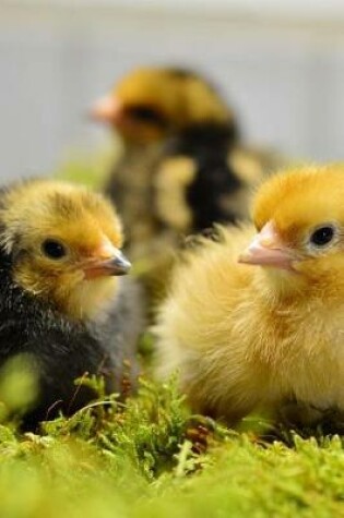 Cover of Baby Chicks in a Moss Bed Journal